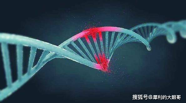 原因在高中课本里，就有相关的知识，生物的延续主要通过dna来实现。不过d
