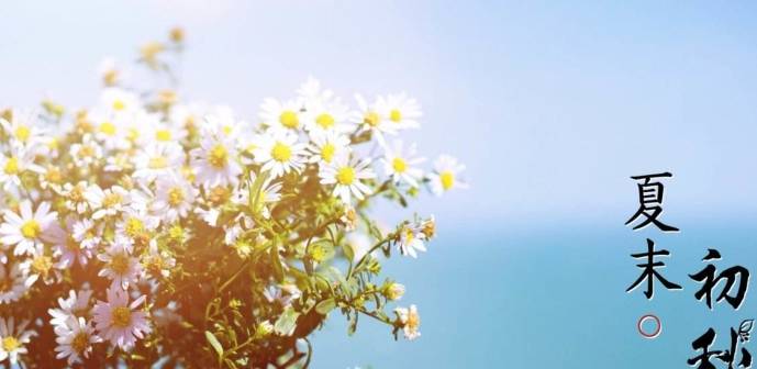 养护|末伏过后,调养脾胃,少碰三物,谨记五句话,为秋冬进补打好基础