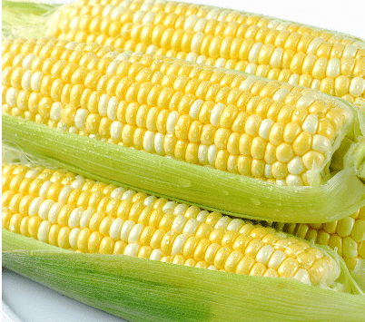 3c6ed12a8b3849d98ebddff09d1ac5d3.png