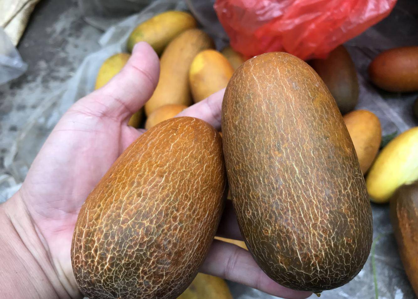 小说自传什么意思 6a9ccaedb23a49cab89604aeb147e708.jpeg