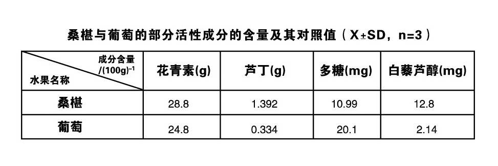 什么|葡萄酒与桑葚酒到底哪个好?有什么区别_桑葚酒适合什么人喝