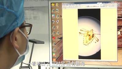 e40bfb35f9734dd4aae0f2880997ab43.jpeg