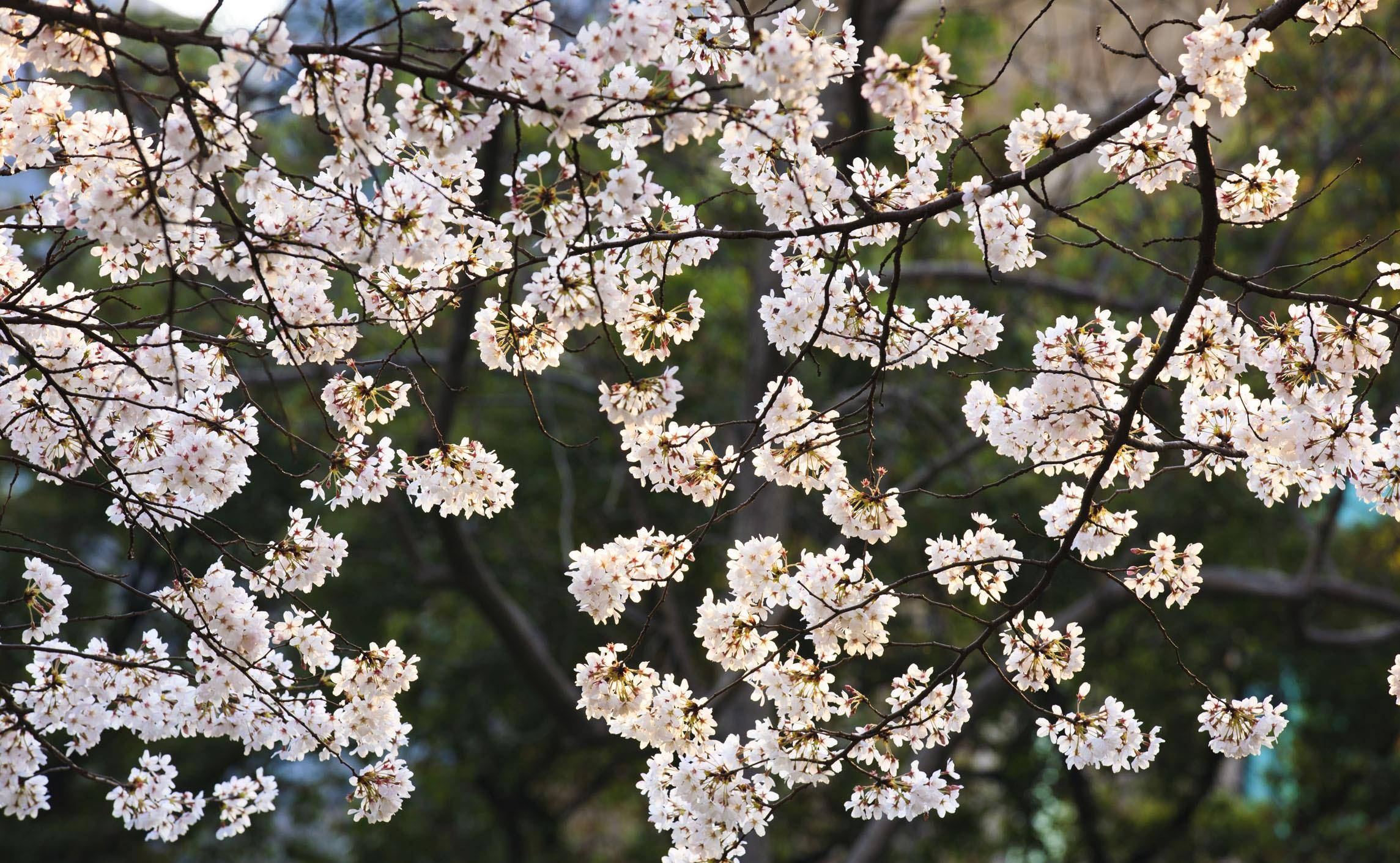 原创美丽的,好看的,漂亮的,哪个更让你心动?