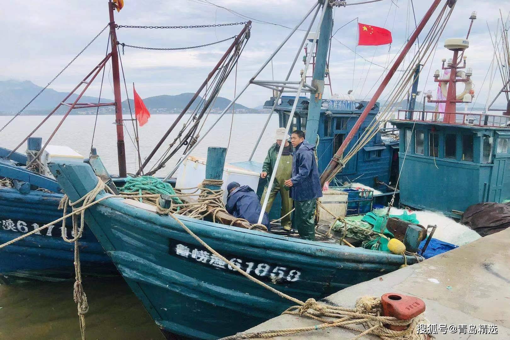 今天青岛开海了