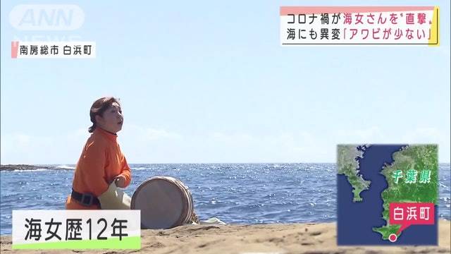 日本海女文化恐成绝响 新冠疫情 后继无人以外 有一个致命因素 鲍鱼