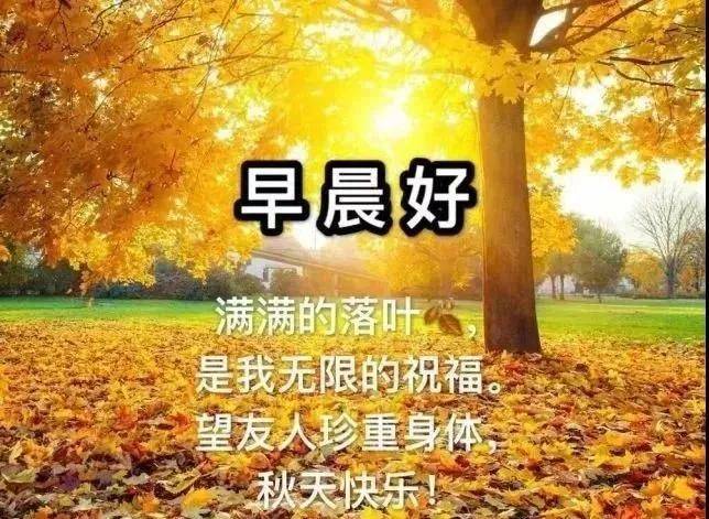 原創8張最美秋天風景早安早上好圖片帶祝福語好看的早上好問候祝福語