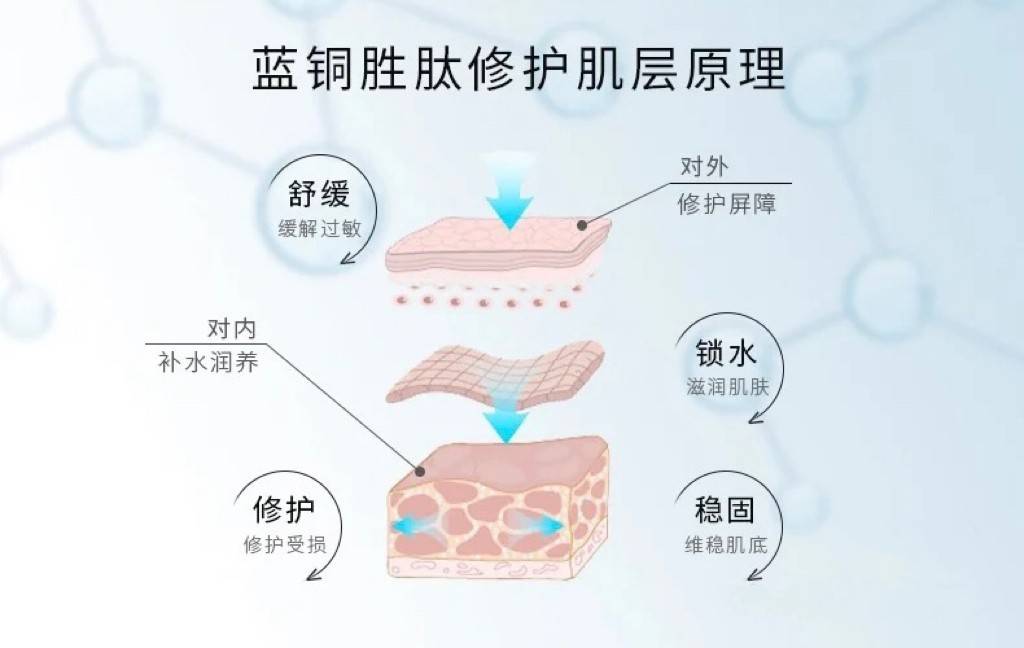 产品|抗初老与修复两手抓 蓝铜胜肽功效很强大