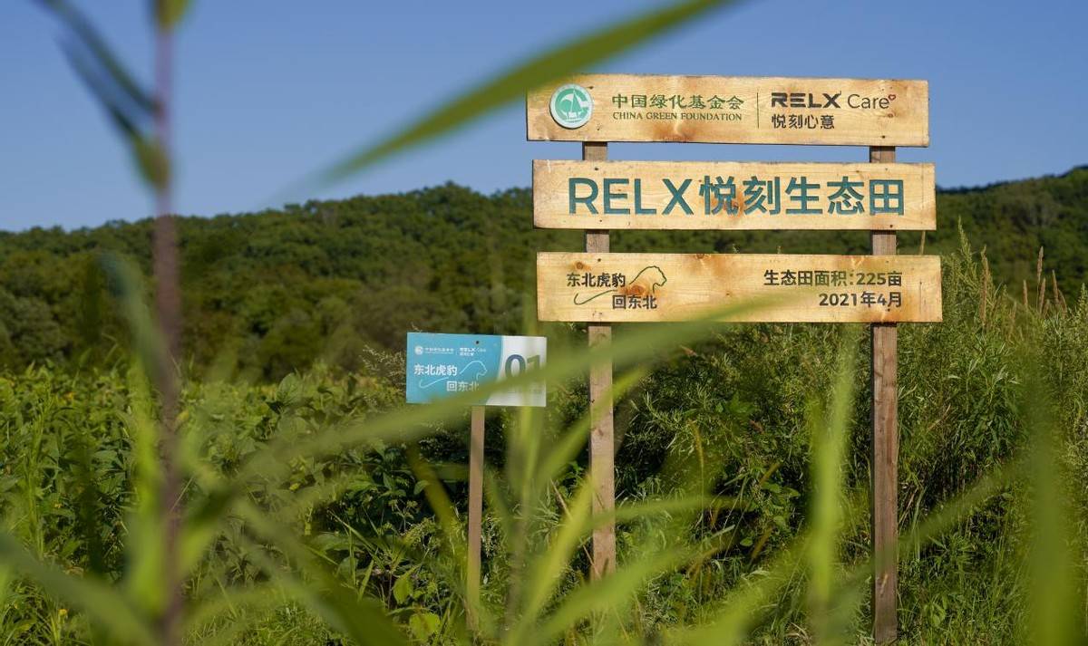 产品|RELX悦刻发布社会责任报告：带动超27.7万个就业 向阳花3.0实现强制验龄