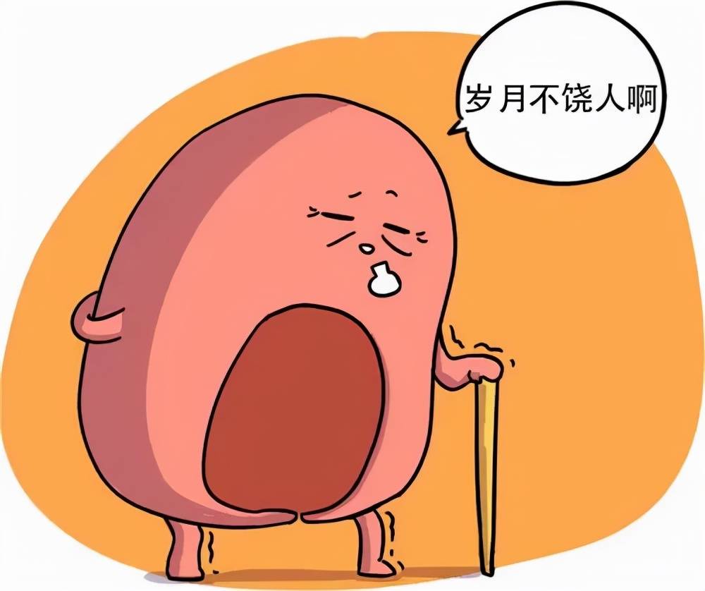 盆底|盆底修复，千万别留着二胎后一起做！