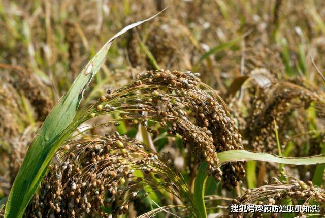 血液|血脂高会带来哪些表现？小腿上如有3种情况，最好注意检查