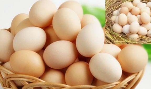卵白|肾结石患者,是否可以吃鸡蛋?你的理解真的对吗?看专家的理解