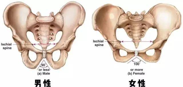 地方|腿粗腿短屁股大？4招还你纤细美腿！