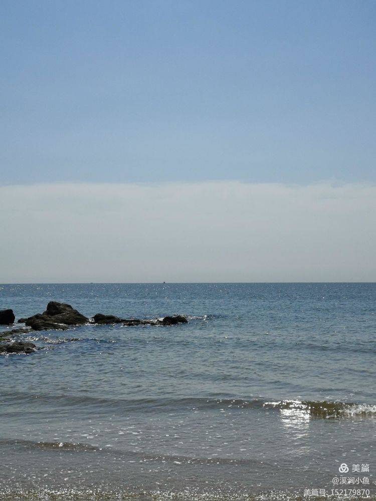 司秀敏 海边遐思 涛声 全网搜