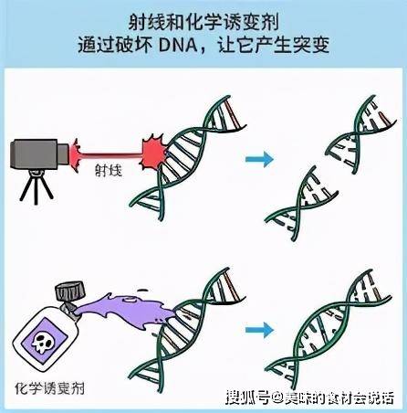 存在即真理,生产钴60肯定有它本身的道理:前提就是它可以被人类利用