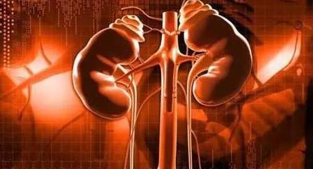 症状|肾病该不该积极治疗？哪些症状需要积极治疗，哪些可以放一放？