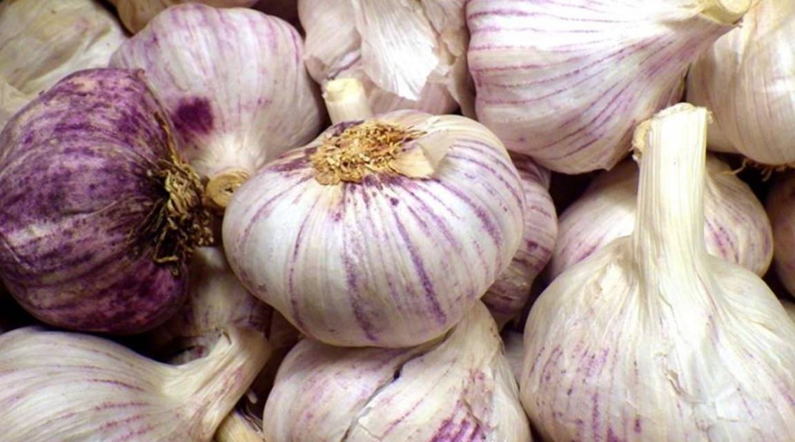 生活|植物胰岛素,糖尿病的“对手”,每天吃一点,糖尿病悄悄逃走