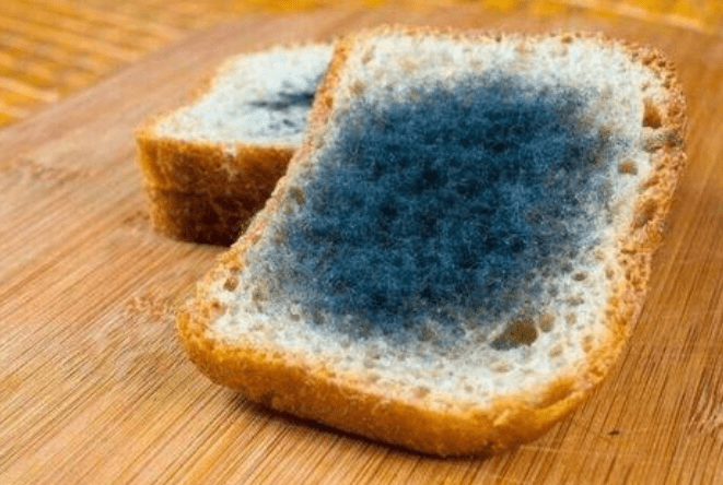 肝脏|身体出现5大警报信号,或是肝脏已受伤!做好6件小事肝脏会变强