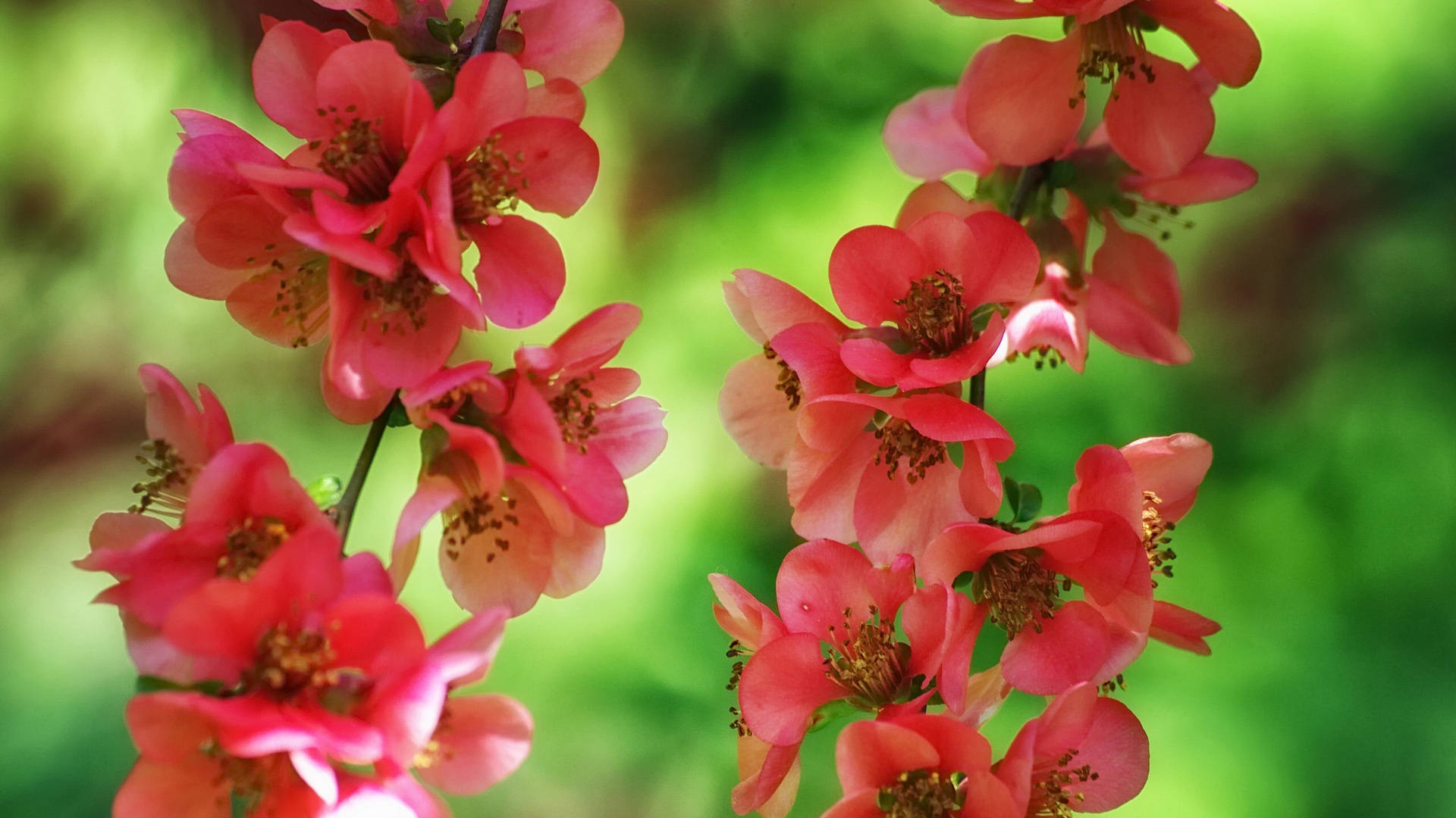 9月5日星座运势 顶压前行 披荆斩棘的四大星座 生活