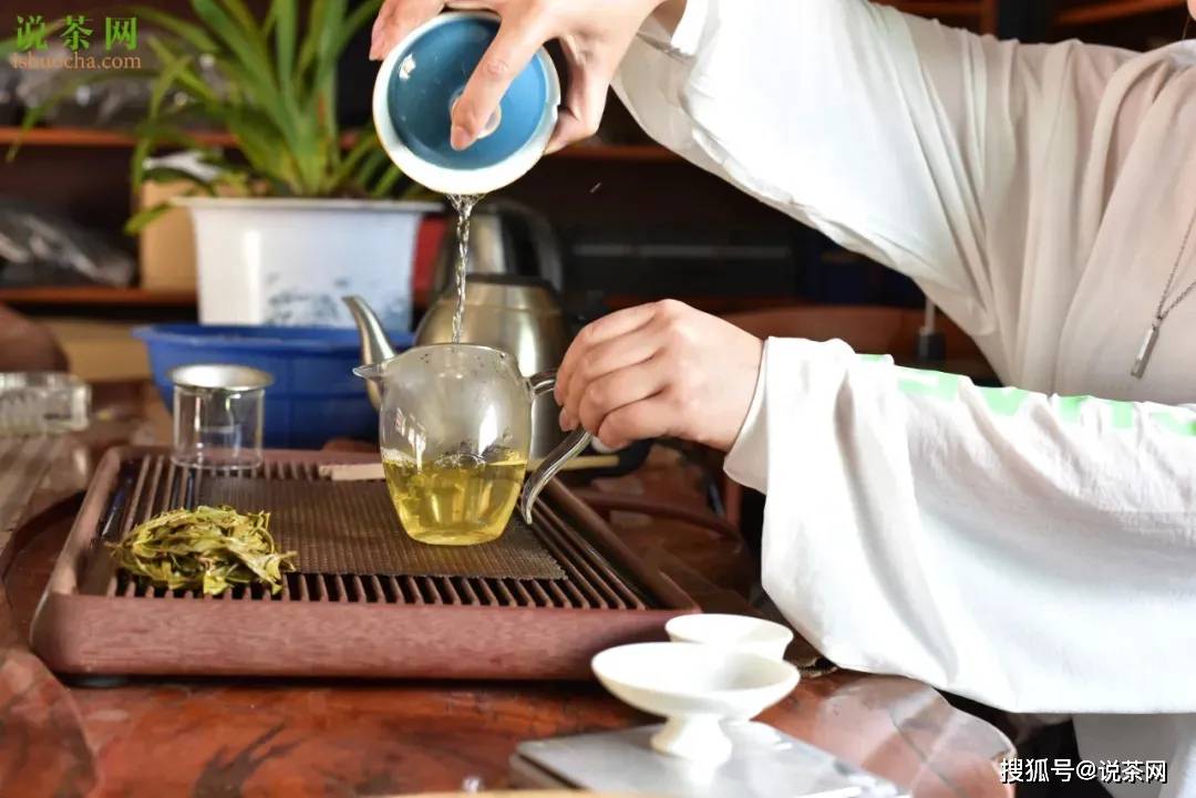 黄茶|喝茶圈也有鄙视链？