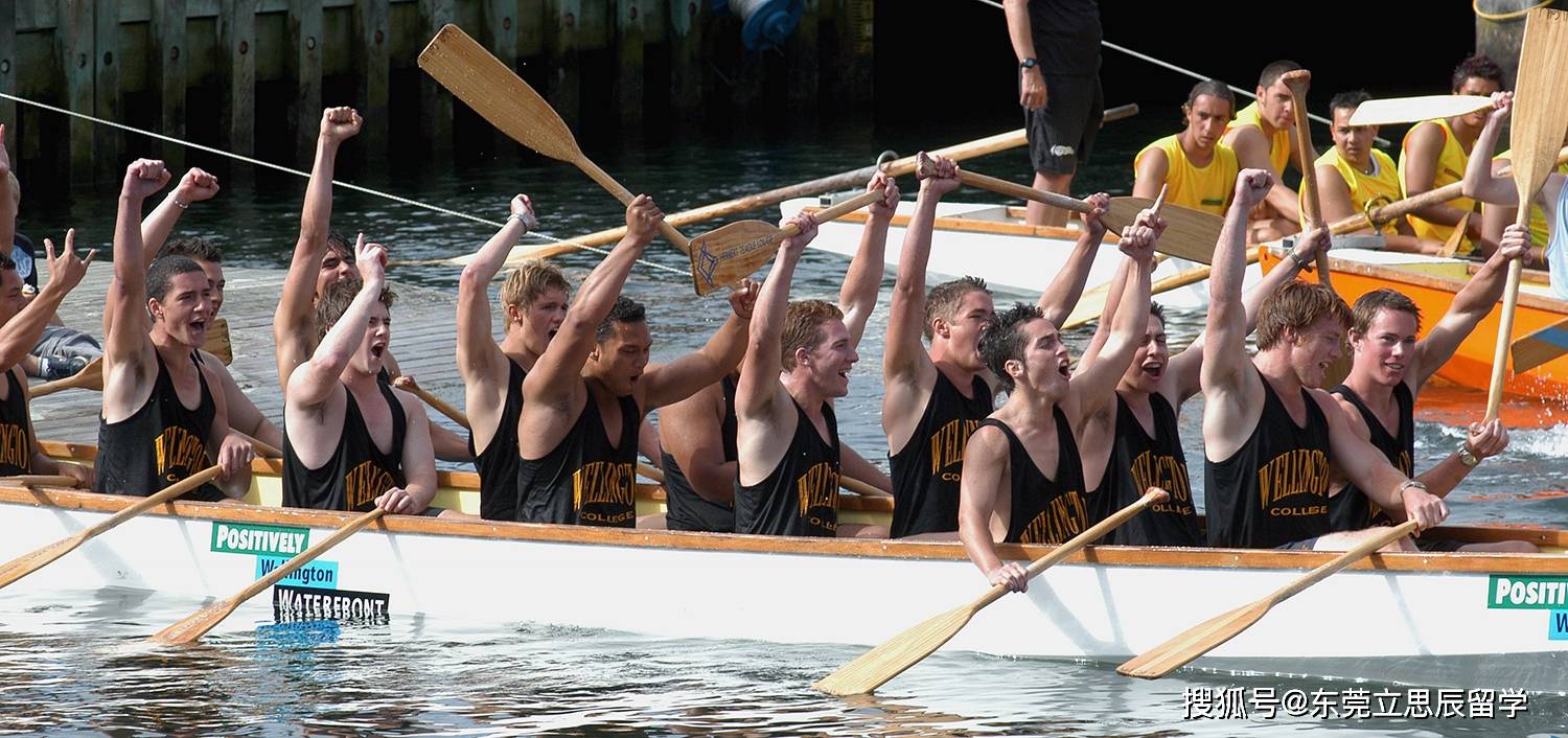 留学|新西兰留学4大热门专业，你pick哪个？