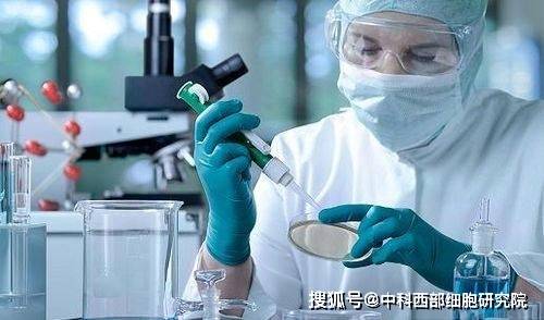 中科西部干细胞研究院 干细胞的种类和特征 充质