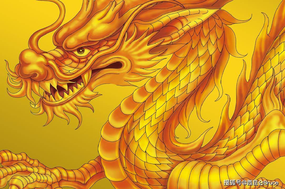 大四学生画出价值18万的中国龙!在古代,龙的存在真的有迹可循吗_动物