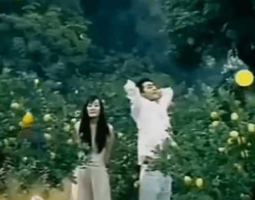 广告|明星广告失败案例：关晓彤魔鬼角度胖两圈，杨幂脸方让人挪不开眼