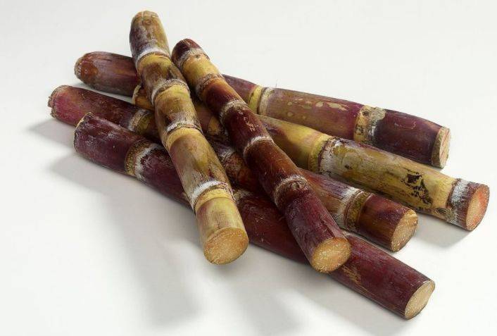 甘蔗|此类不起眼的零食，可能影响好细胞，不妨提前了解一下