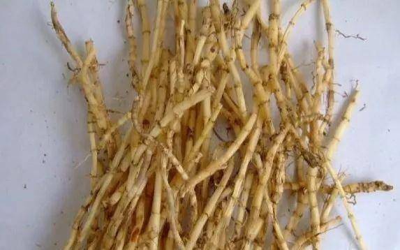 泡泡糖|说说你小时候吃过哪些东西?一听就暴露了年龄!