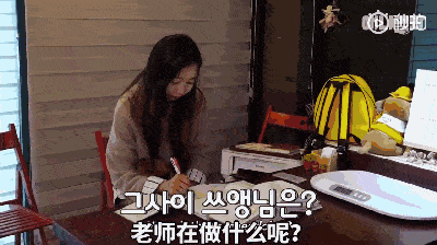 技能|上班族没时间照顾狗狗？狗狗也能上幼儿园啦