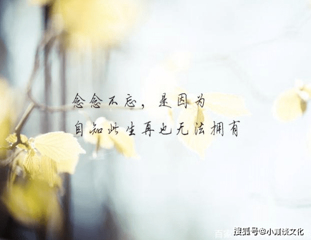 36e9522e4f944eec8f210c434fbb4e4a.png