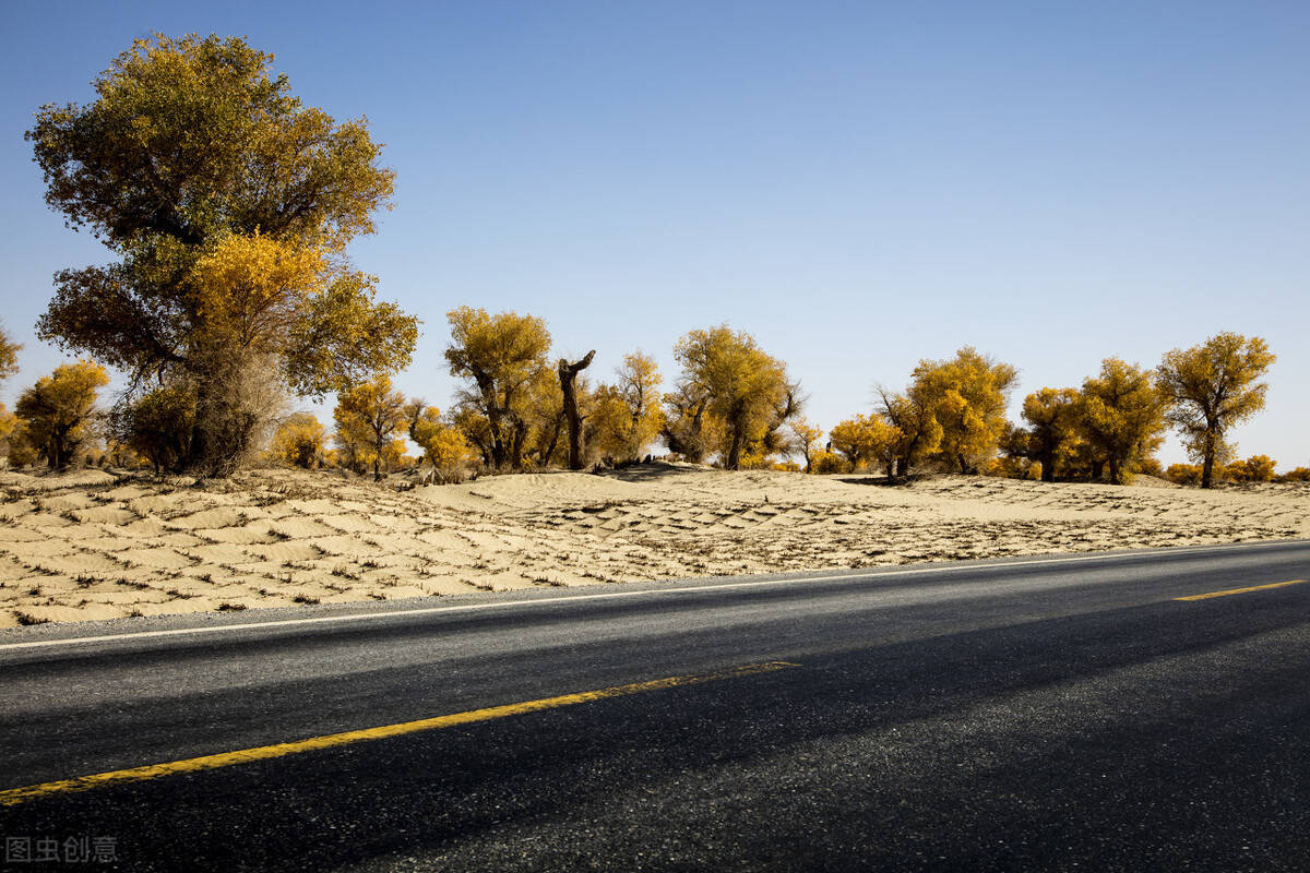 新疆沙漠公路，为不被掩埋108个水井房每天浇水，每年花费上千万