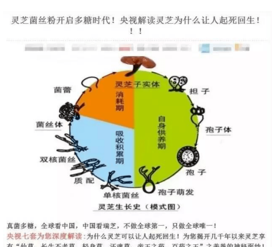 瑞芝生物伪冒央视打广告：高层曾因涉嫌传销被追逃(图4)