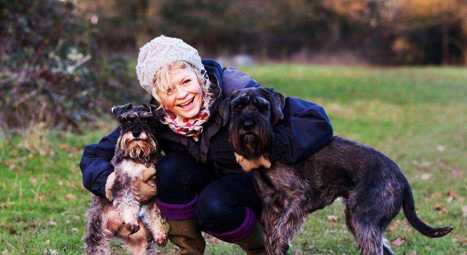 因为|雪纳瑞犬一生的6大“心愿”,你有帮它实现吗?