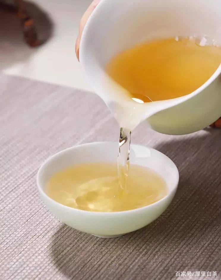 白茶哪种好喝如何品鉴白茶