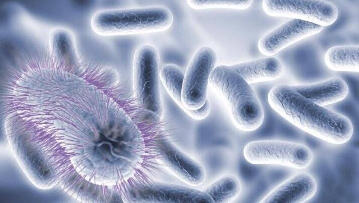 肝脏|乙肝反复发作的5大病因，医生：不想肝病复发，注意4件事