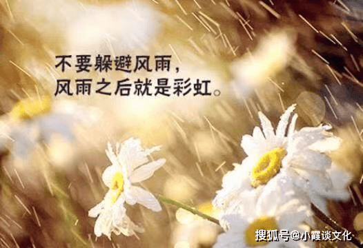 6907db1ed8a7445ea419579658c68abd.png