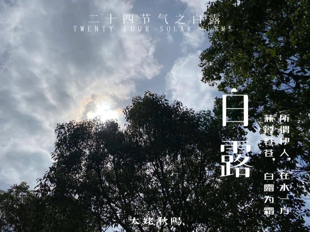 蒹葭曲谱_诗经蒹葭图片(5)