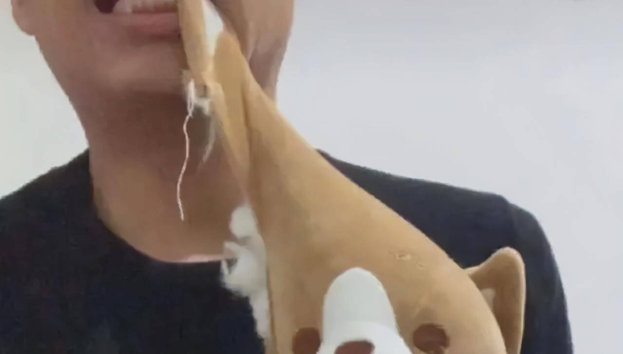 怨气|狗狗咬坏主人新鞋，主人一怒之下，咬坏狗狗玩具，两只狗都看懵了