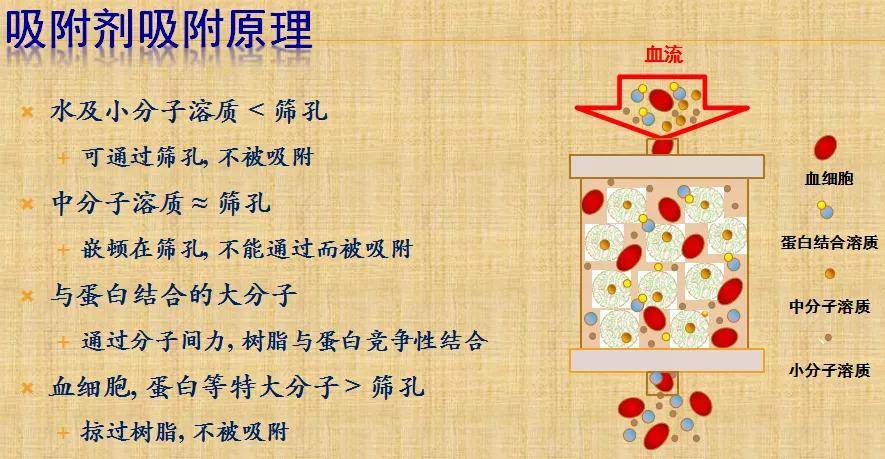 一次血液净化就能去除血液里60%的杂质毒素,及时清除血液污垢,能够