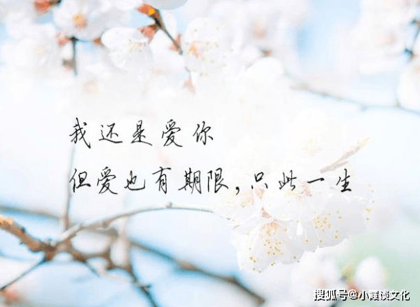 刺心简谱_小星星简谱