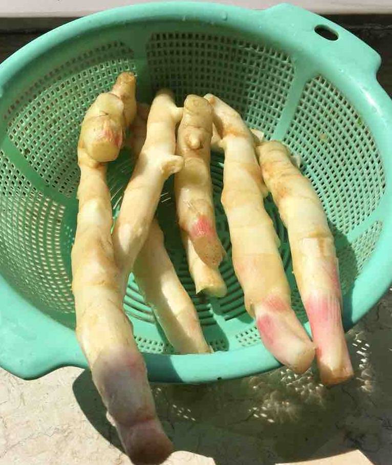 气色|秋天早餐配上它,排毒强身少生病,体寒吃就对了,气色立马好