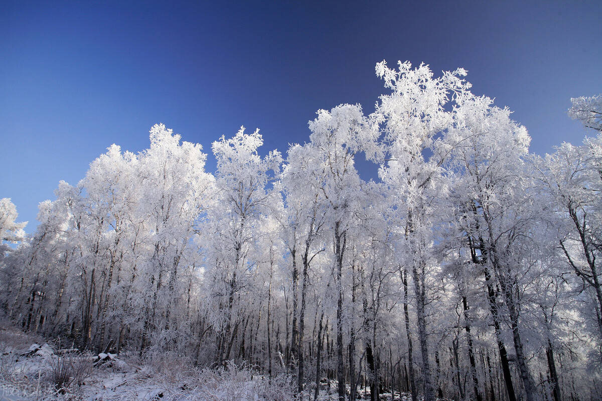 寻味内蒙古呼伦贝尔南屯牛排