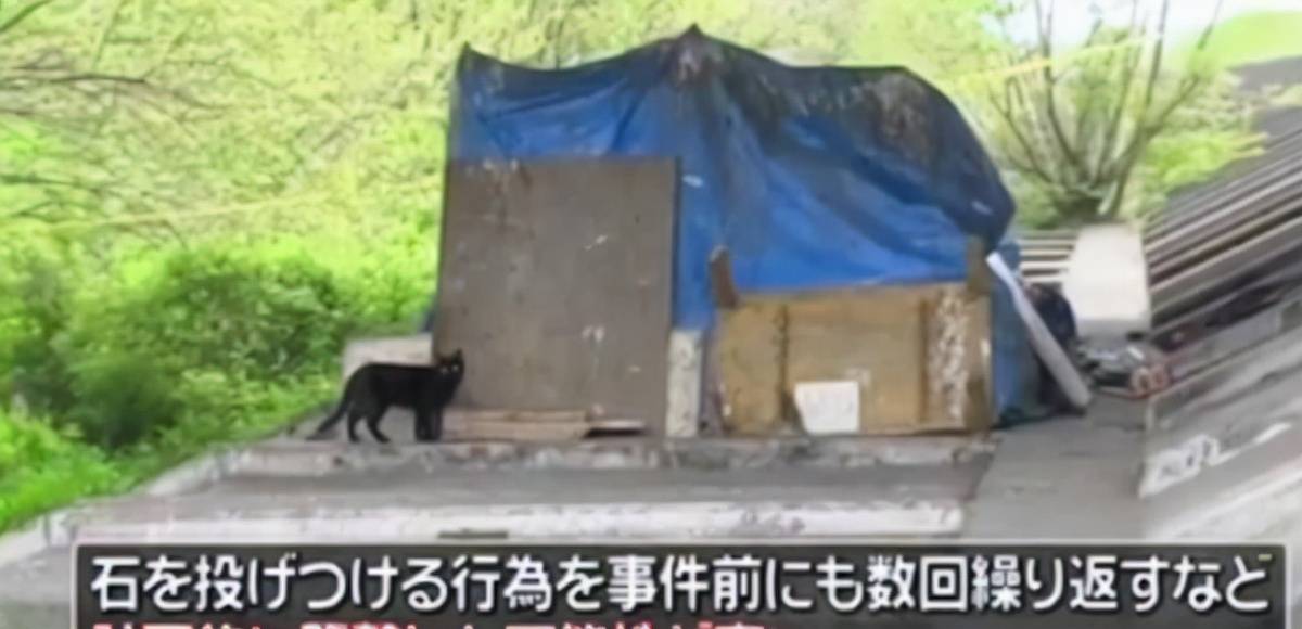 生命|杭州哪家宠物医院好，虹泰宠物医院呼吁大家如果不爱，请别伤害