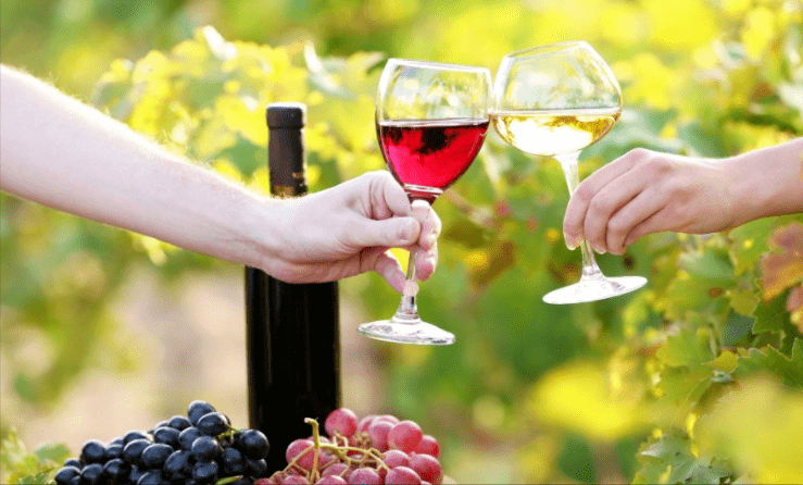 进行|红酒知识 | 葡萄酒可以抗氧化 你知道背后的原因么？