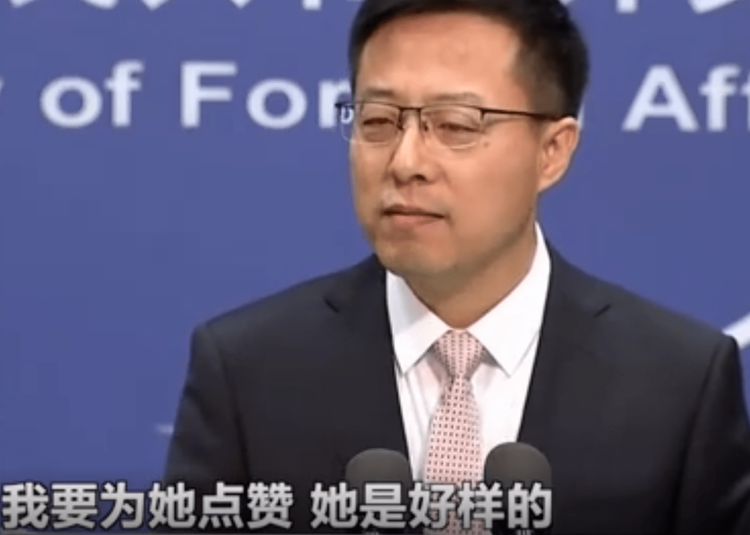 国籍,更好地去宣扬中国的文化,之前外交部的发言人就曾经赞扬过刘亦菲