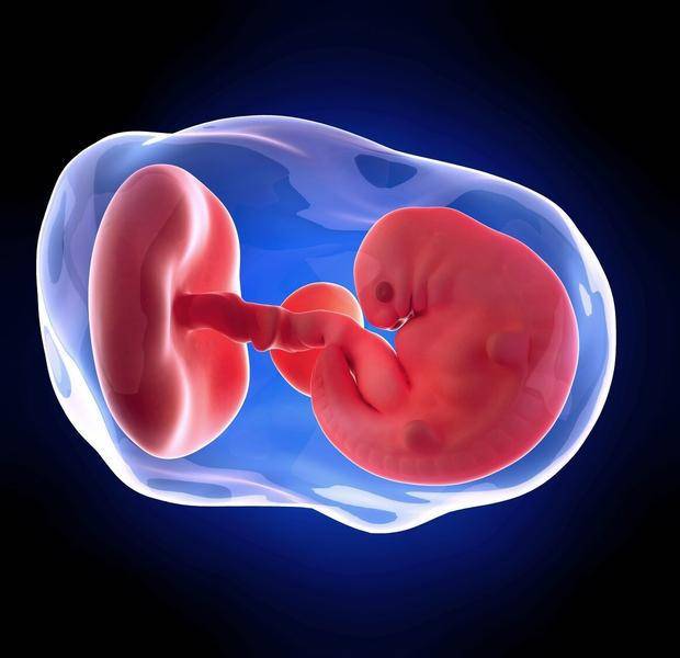 一般多久能看到孕囊 8c8f2091f71548c0be35c80b4184ddad.jpeg