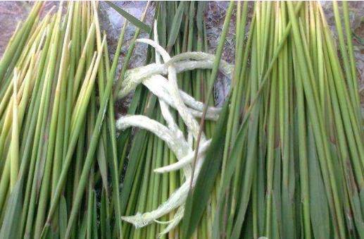 小时候|农村娃子的零食，你们吃过几种？