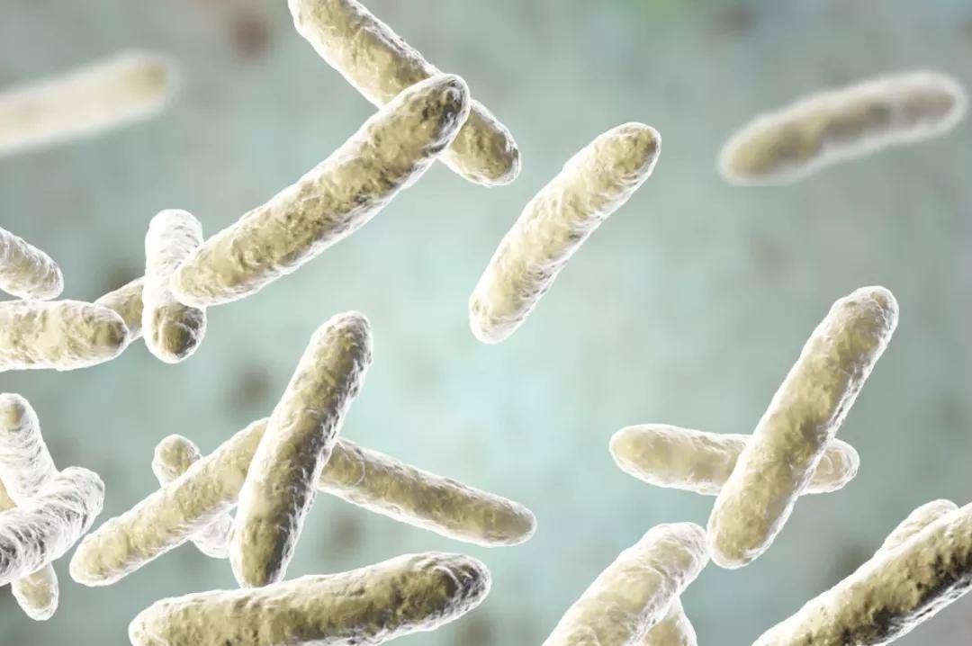 保健食品|益生菌到底有什么用？服用益生菌必知的4个真相