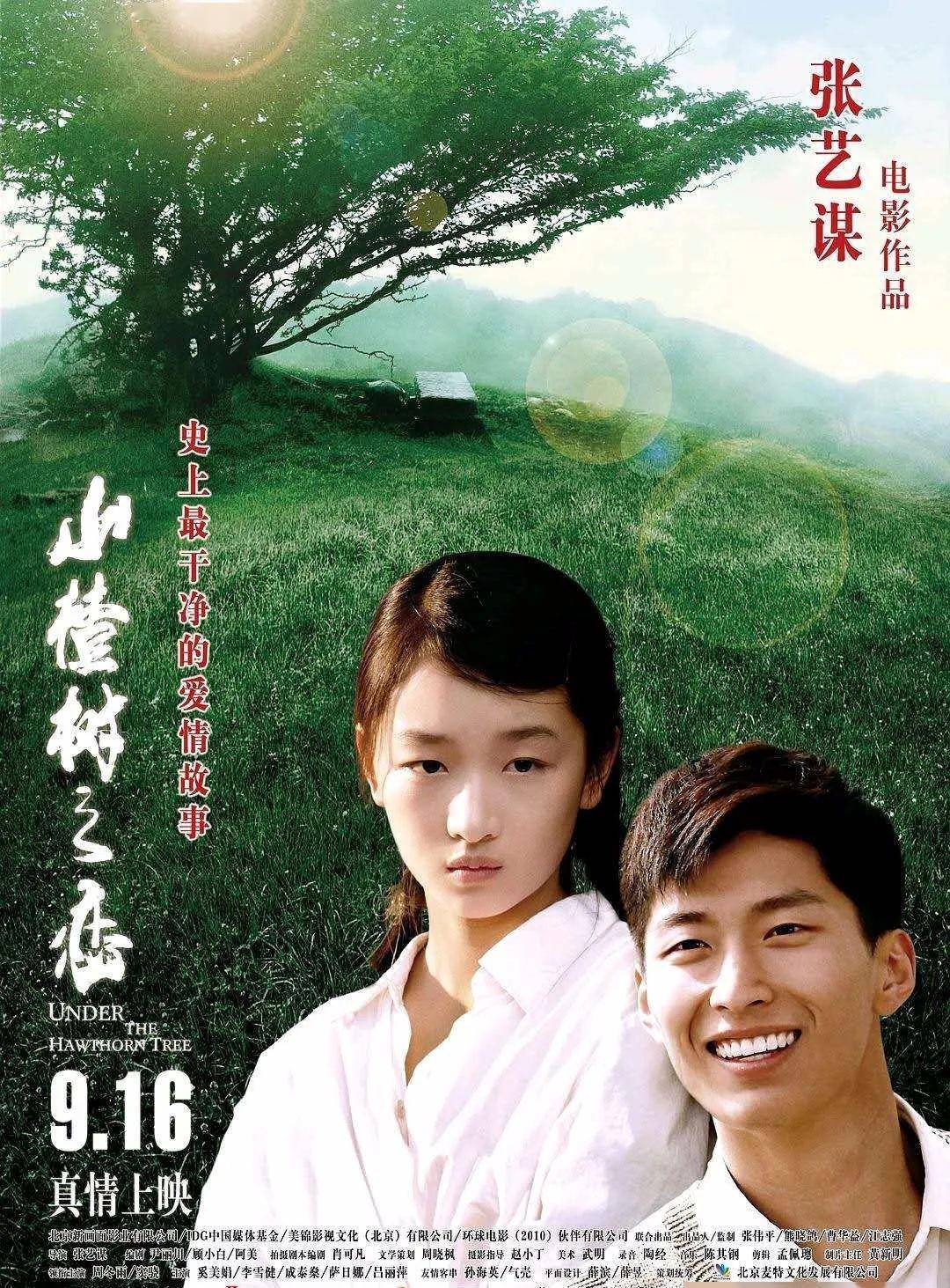 电影|张艺谋导演的电影（1988-2020）